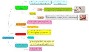 مراحل نظریه بالبی