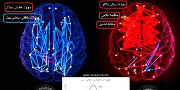 تفاوتهای هوش در دو جنس زن و مرد