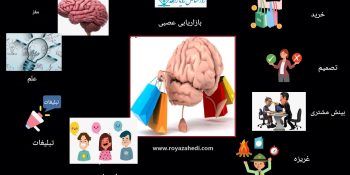 تأثیر مغز بر تصمیمگیری خرید