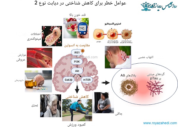 دیابت و مغز