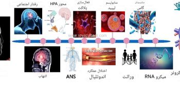 بیماری قلبی (Heart Disease)