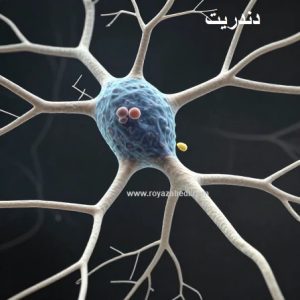 دندریت