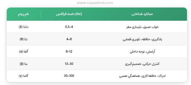 ریتم مغزی