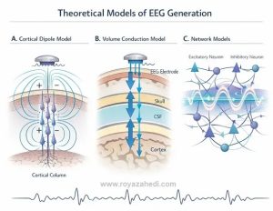 مدل‌های نظری تولید EEG