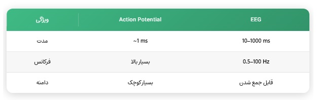پتانسیل عمل