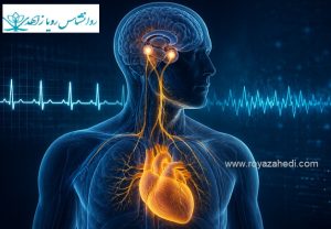 تپش قلب ناگهانی؛ حمله پانیک است یا مشکل قلبی؟