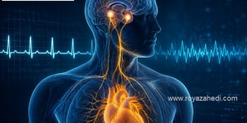 تپش قلب ناگهانی؛ حمله پانیک است یا مشکل قلبی؟