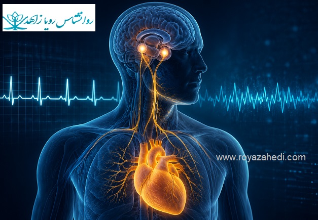 تپش قلب ناگهانی؛ حمله پانیک است یا مشکل قلبی؟